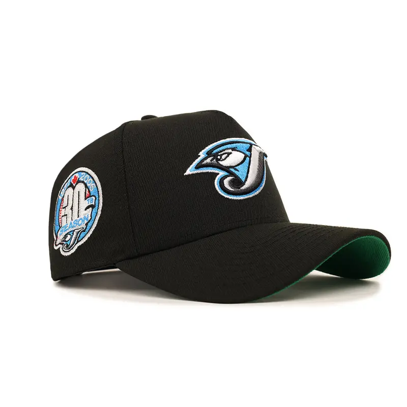 Blue Jays 30th Anniversary Commemorative Black 9Forty Snapback Hat