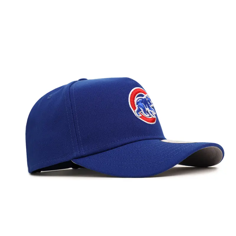 Chicago Cubs Bear Graphic Team Color 9Forty A-Frame Snapback