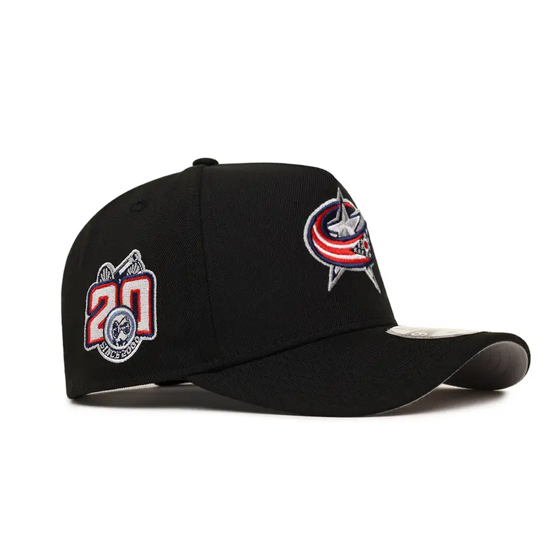 Columbus Blue Jackets 20th Anniversary Black Snapback – NHL A-Frame 9Forty Hat