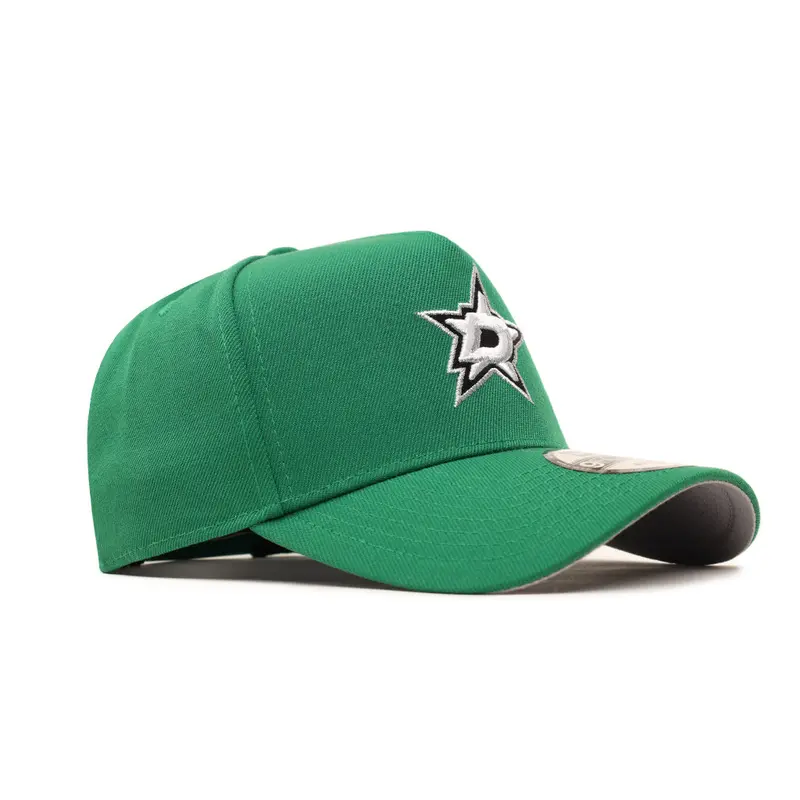 Dallas Stars 9Forty A-Frame Snapback Featuring Official Team Colors