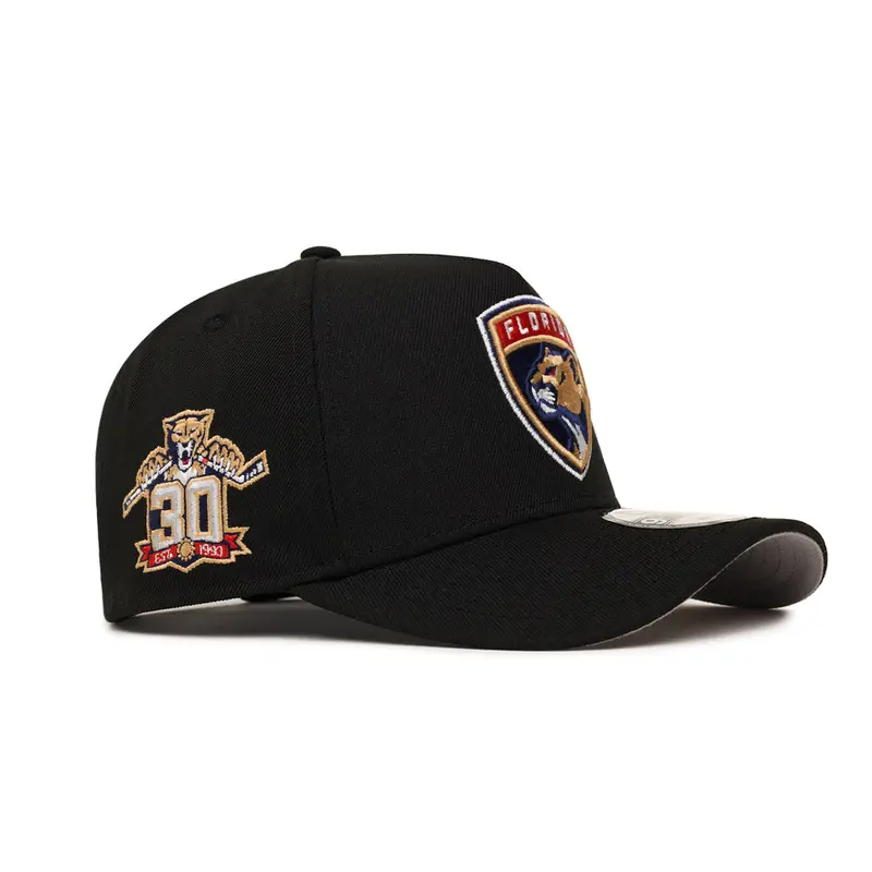Florida Panthers 30th Anniversary Black Snapback – NHL A-Frame 9Forty Cap
