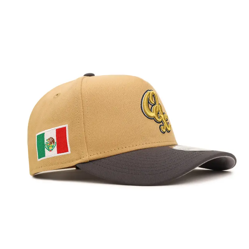 Guerreros de Oaxaca Bronze-Gray Two-Tone 9Forty A-Frame Snapback with Mexico Flag Patch