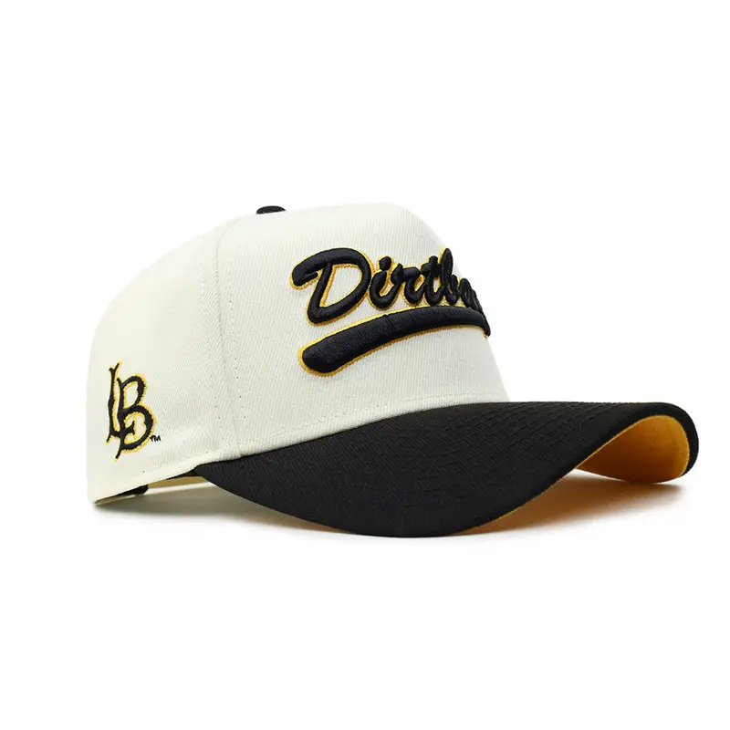 Long Beach Dirtbags Chrome & Black Alternate Logo Cap – Modern 9Forty A-Frame