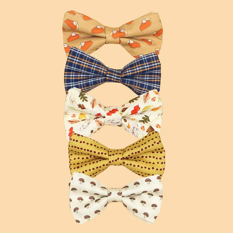 Thanksgiving-Inspired Snap-On Tie for Fall Celebrations